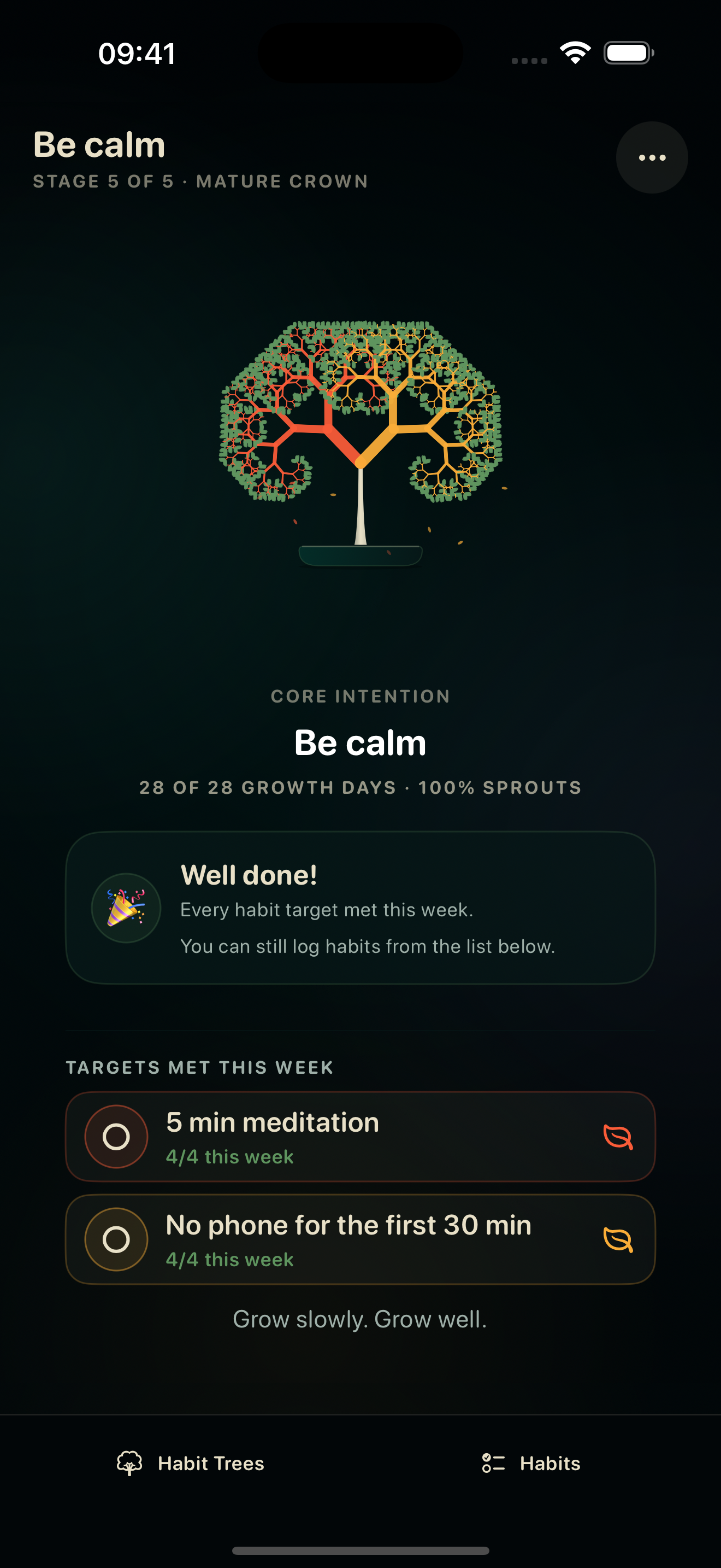 Twig showing a colourful grown bonsai, a weekly success message, and completed targets for meditation and a phone-free morning.